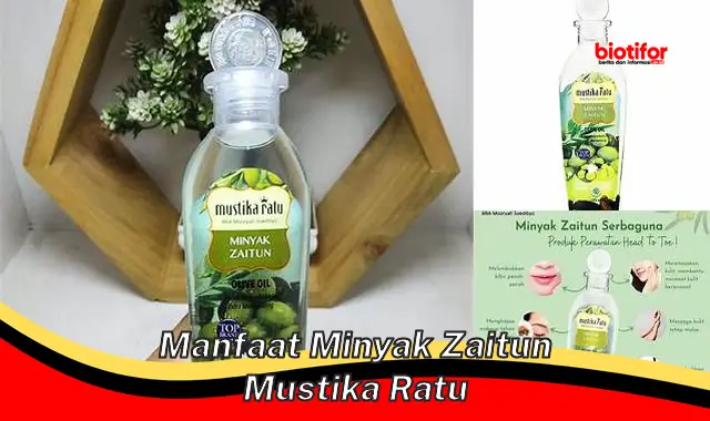 manfaat minyak zaitun mustika ratu