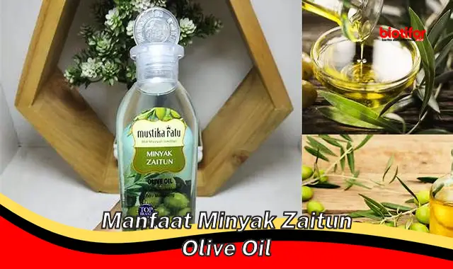 manfaat minyak zaitun olive oil