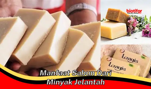 manfaat sabun dari minyak jelantah