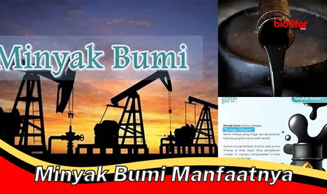 minyak bumi manfaatnya