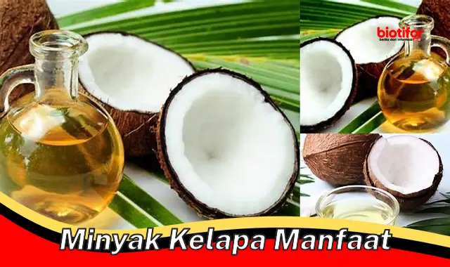 minyak kelapa manfaat