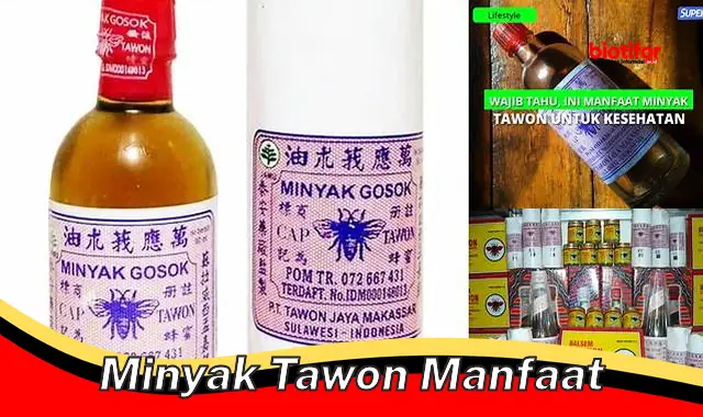 minyak tawon manfaat