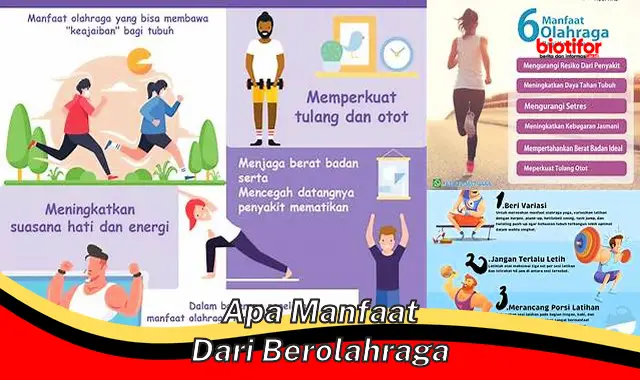 apa manfaat dari berolahraga