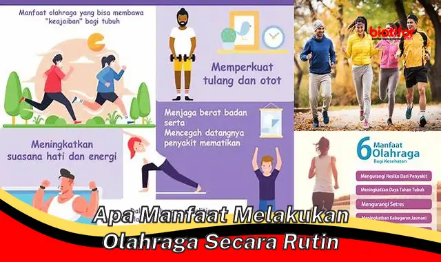 apa manfaat melakukan olahraga secara rutin