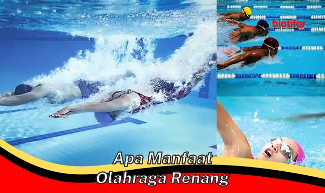 apa manfaat olahraga renang