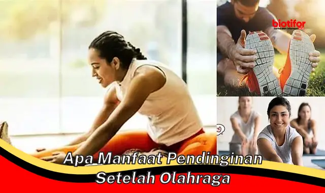 apa manfaat pendinginan setelah olahraga