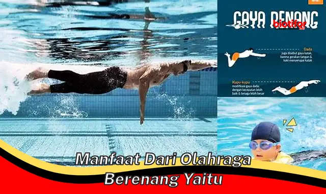 manfaat dari olahraga berenang yaitu