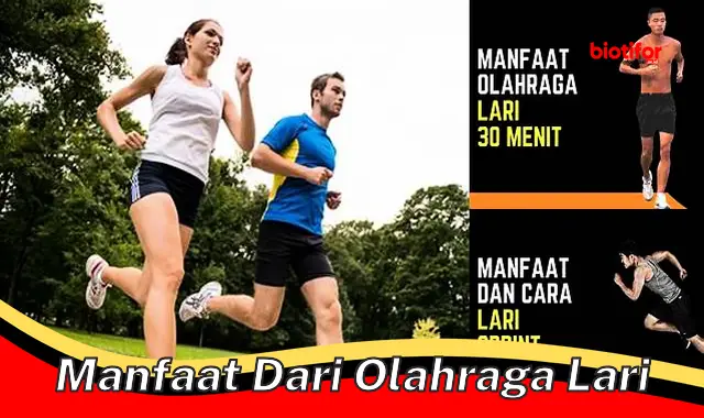 manfaat dari olahraga lari