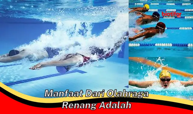 Temukan Manfaat Olahraga Renang yang Mungkin Belum Anda Ketahui