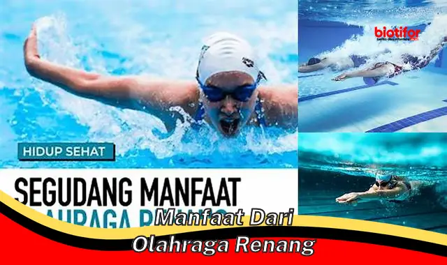 manfaat dari olahraga renang