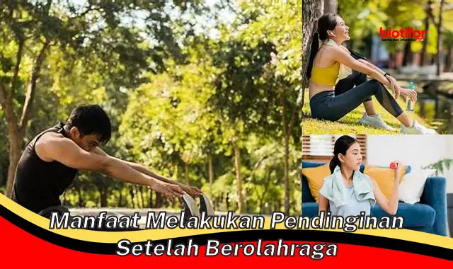 manfaat melakukan pendinginan setelah berolahraga