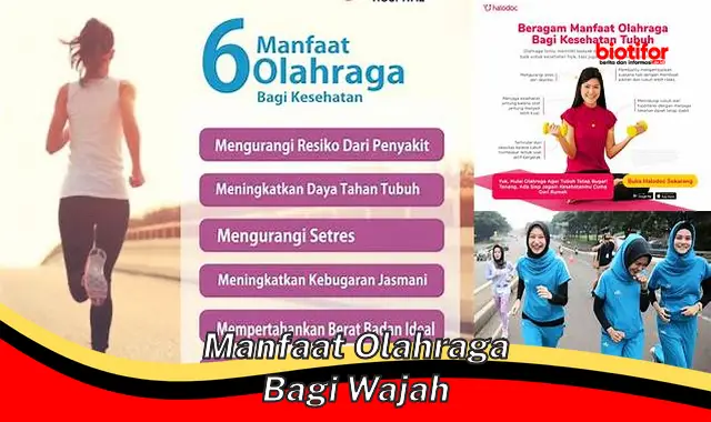 manfaat olahraga bagi wajah