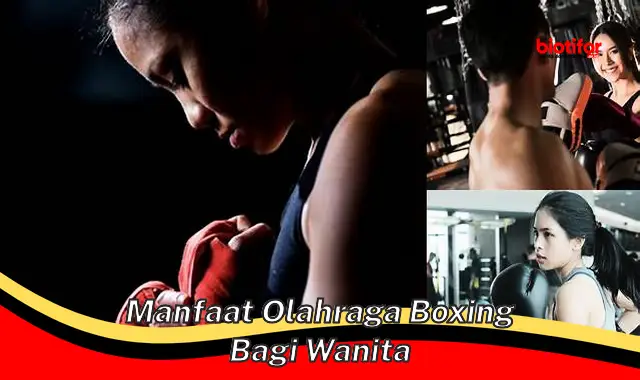 manfaat olahraga boxing bagi wanita