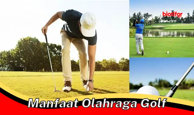 manfaat olahraga golf