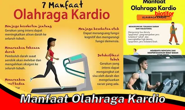 manfaat olahraga kardio