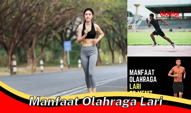 manfaat olahraga lari