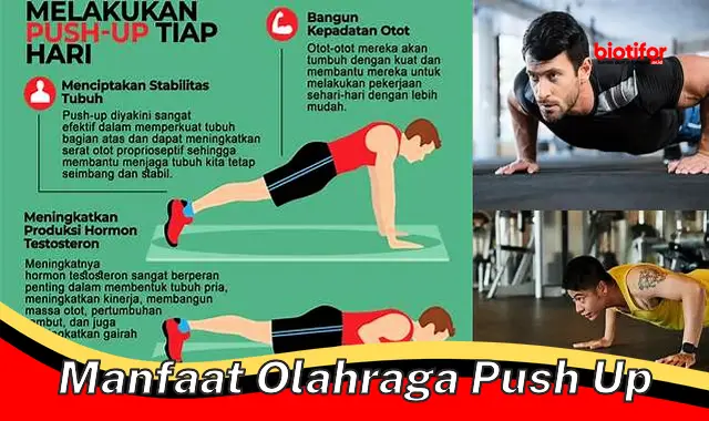 manfaat olahraga push up