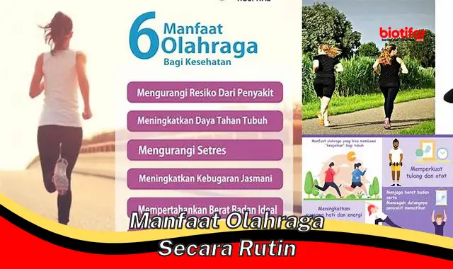 manfaat olahraga secara rutin