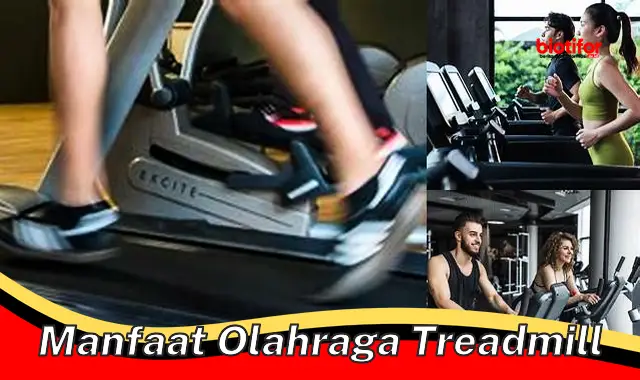 manfaat olahraga treadmill