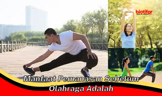 manfaat pemanasan sebelum olahraga adalah