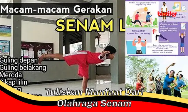 tuliskan manfaat dari olahraga senam