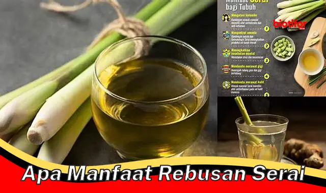 Temukan Manfaat Rebusan Serai yang Perlu Anda Ketahui