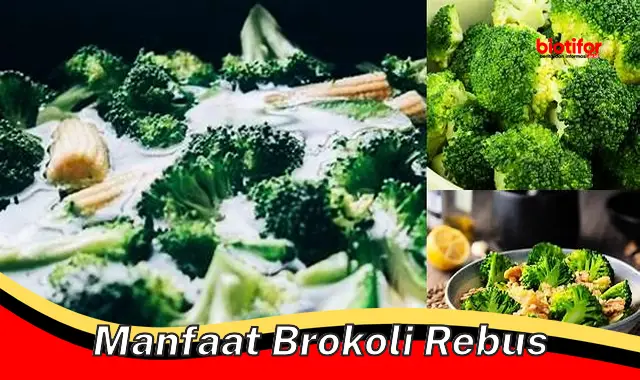 manfaat brokoli rebus