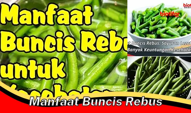 manfaat buncis rebus