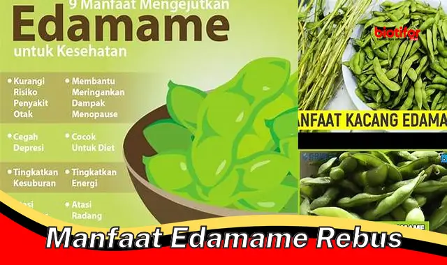 manfaat edamame rebus