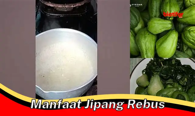 manfaat jipang rebus