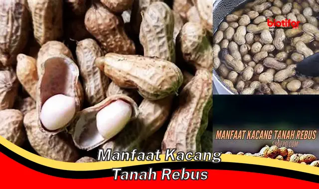 manfaat kacang tanah rebus