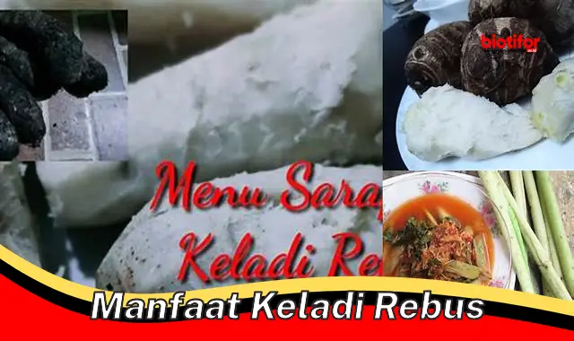 manfaat keladi rebus