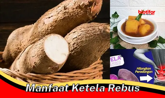 manfaat ketela rebus