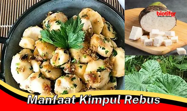 manfaat kimpul rebus