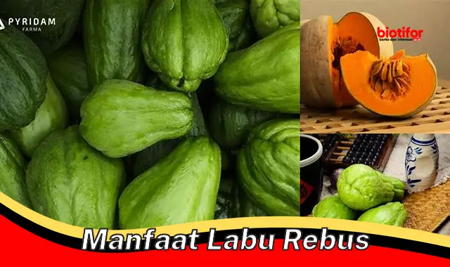 manfaat labu rebus