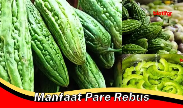 manfaat pare rebus