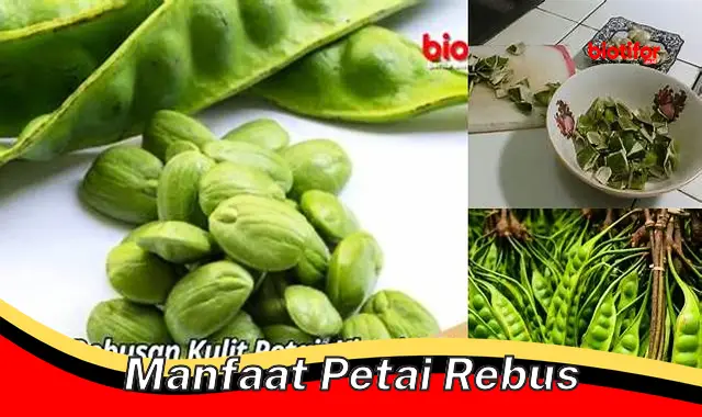 manfaat petai rebus