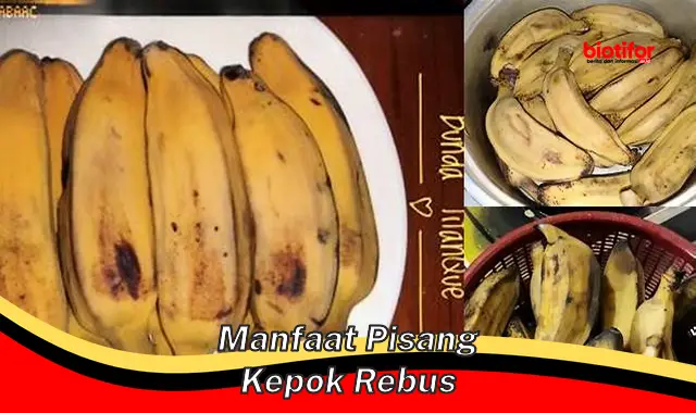 manfaat pisang kepok rebus