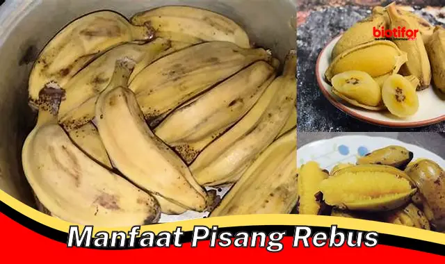 manfaat pisang rebus