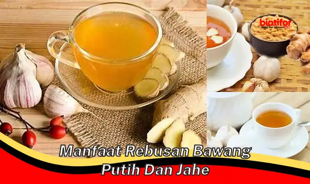 manfaat rebusan bawang putih dan jahe