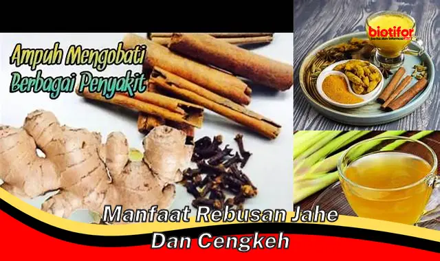 manfaat rebusan jahe dan cengkeh