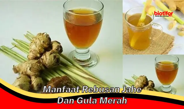 Temukan Manfaat Rebusan Jahe dan Gula Merah yang Jarang Diketahui