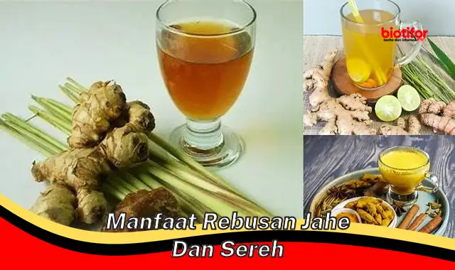 manfaat rebusan jahe dan sereh