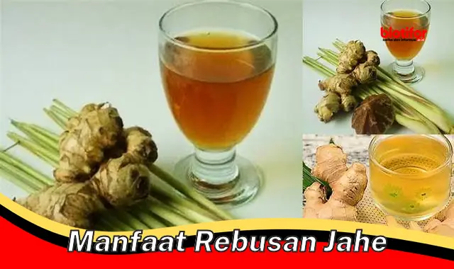 manfaat rebusan jahe