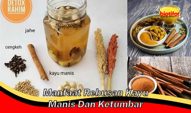 manfaat rebusan kayu manis dan ketumbar