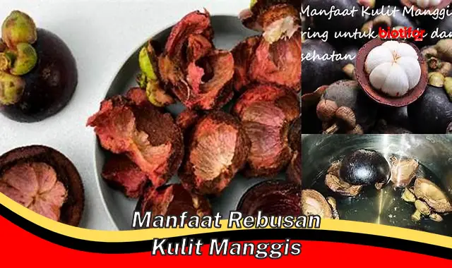 manfaat rebusan kulit manggis