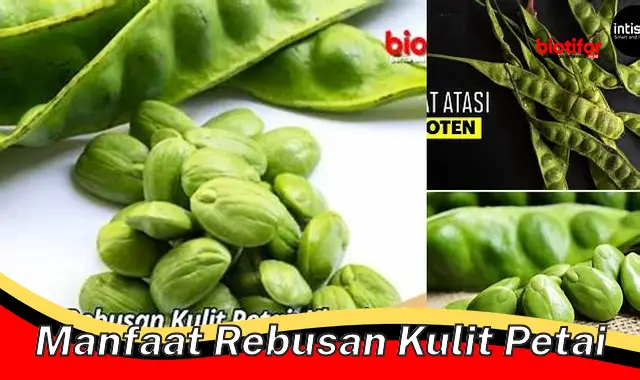 manfaat rebusan kulit petai