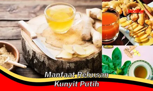 manfaat rebusan kunyit putih