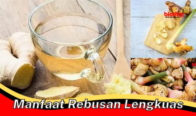 manfaat rebusan lengkuas