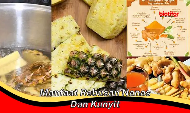 manfaat rebusan nanas dan kunyit